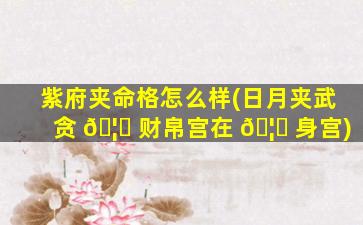紫府夹命格怎么样(日月夹武贪 🦄 财帛宫在 🦆 身宫)